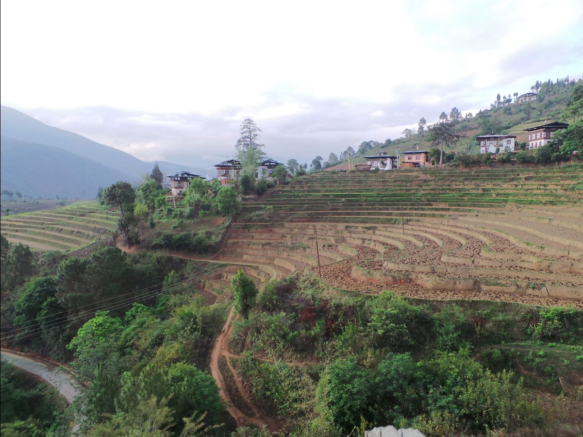 Punakha Hotel11